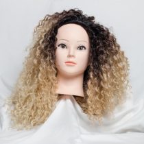 Black & Brown Lace Frontal Curly Wig (20″)